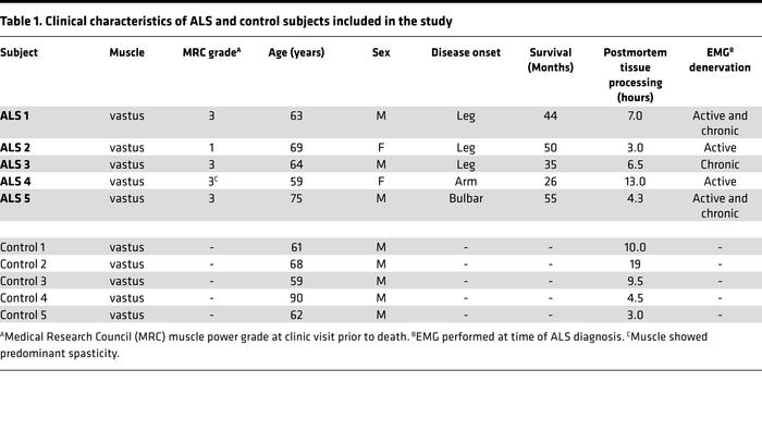 Clinical characteristics of ALS and control subjects included in the study