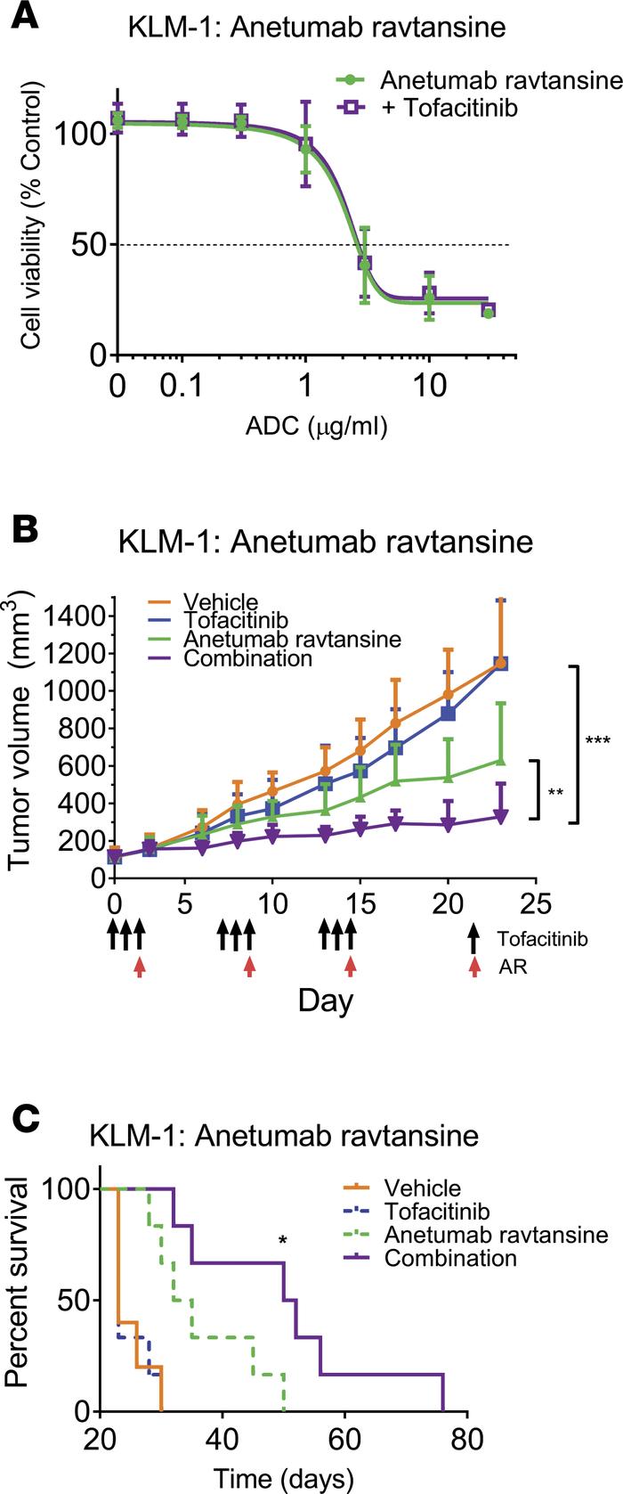 Tofacitinib treatment enhances the antitumor effects of an ADC in vivo.
...
