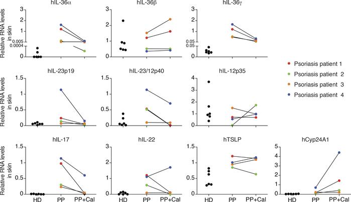 Topical treatment of calcipotriol downregulates hIL-36α and hIL-36γ expr...