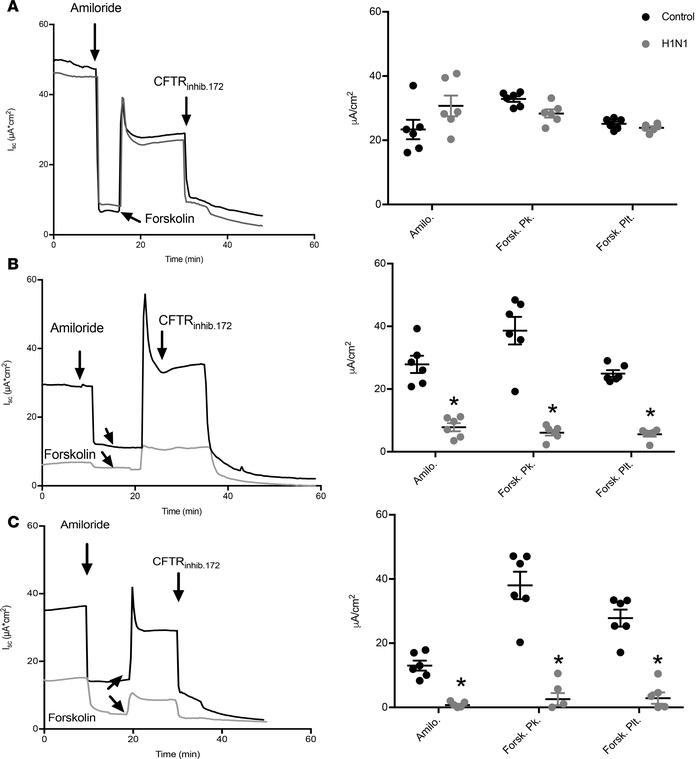 IAV reduces ENaC and CFTR short-circuit currents across intact normal hu...