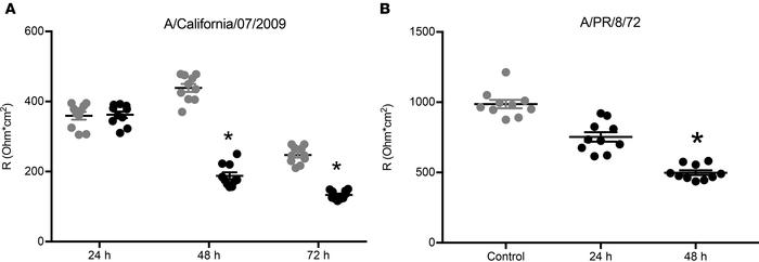 Transepithelial resistance is similarly decreased by two different strai...