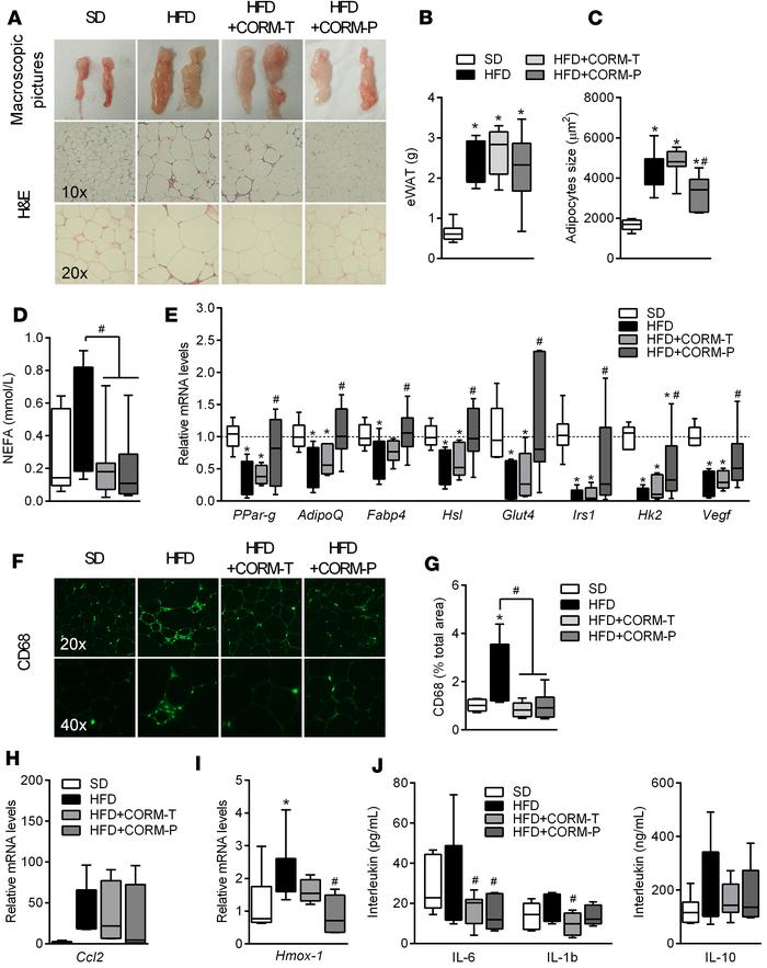 CORM-401 improves visceral adipose tissue function in HFD-induced obesit...