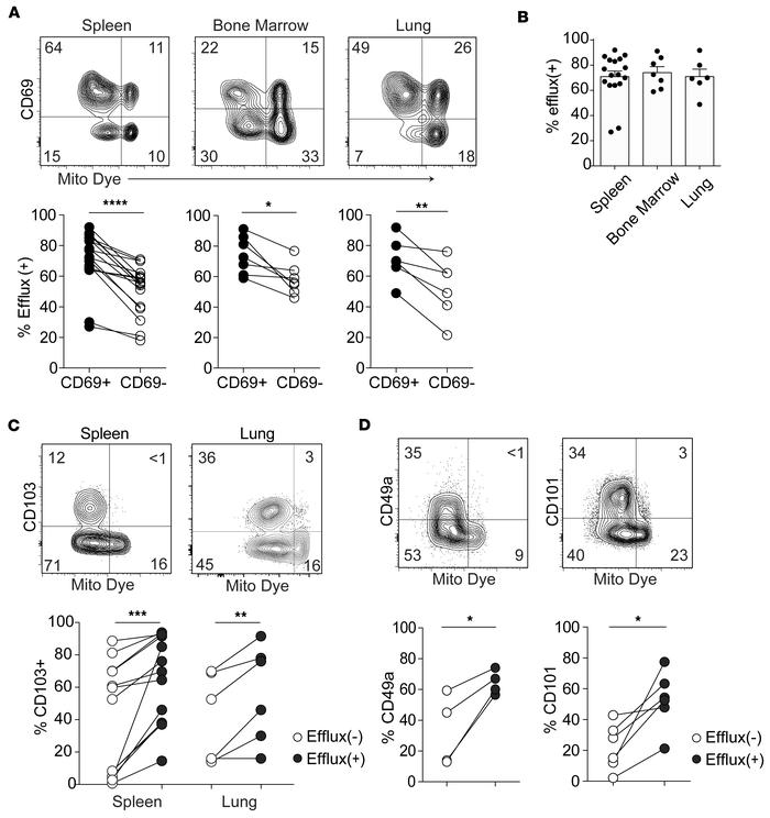 Efflux(+) memory CD8+ T cells are enriched in the TRM fraction across hu...
