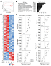 Efflux(+) cells are a transcriptionally distinct subset of TRMs.