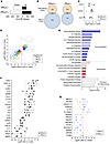 The transcriptional response of efflux(+) and efflux(–) TRMs to stimulation