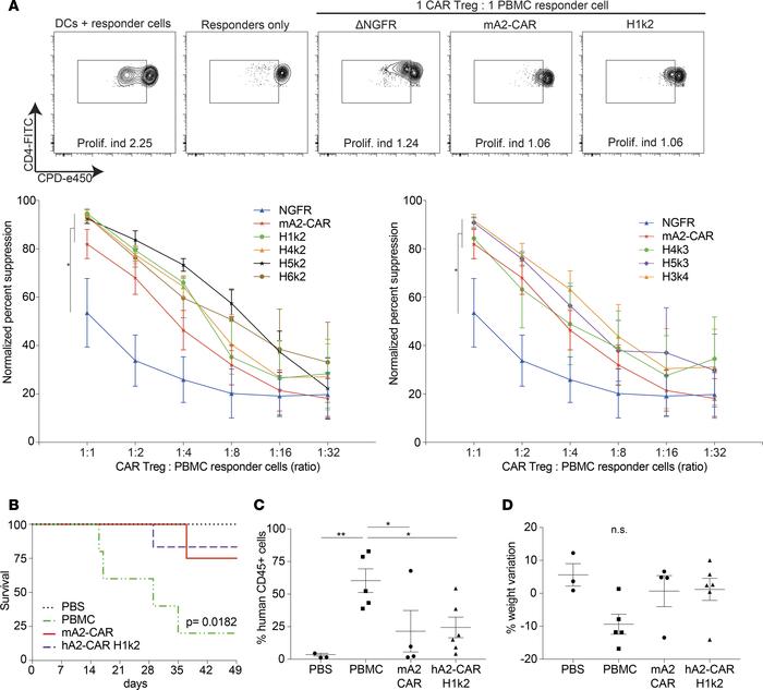hA2-CAR Tregs are suppressive in vitro and in a model of xenogeneic GvHD...