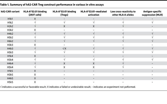 Summary of hA2-CAR Treg construct performance in various in vitro assays