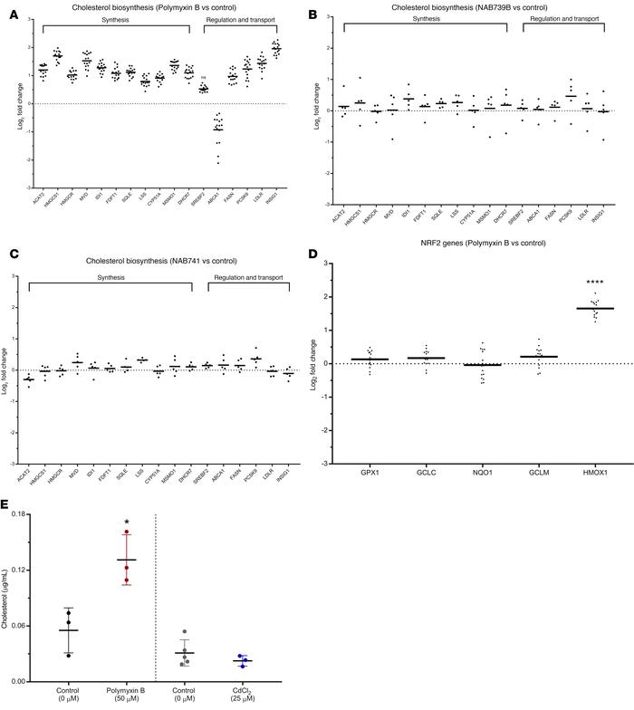 RNA-Seq identifies novel injury pathways that are PMB specific.
(A–C) Tr...