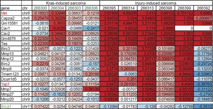 A list of the top 20 genes amplified in injury-induced sarcomas.
All of ...