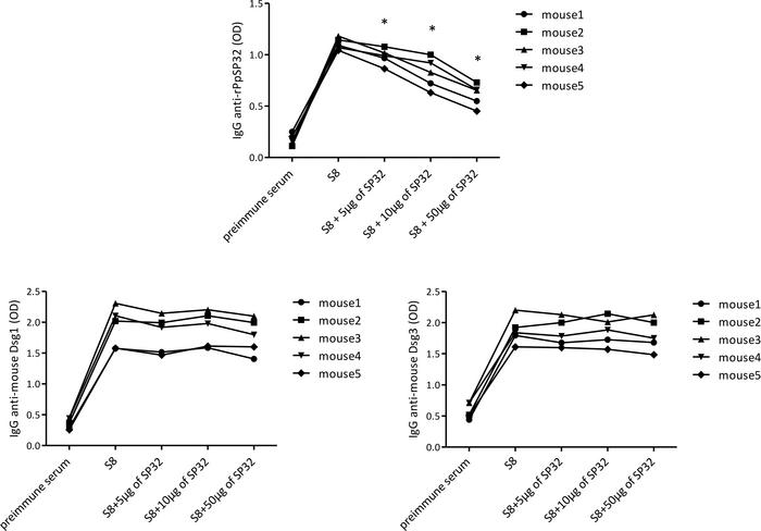 Anti-Dsg1 and -Dsg3 antibodies did not result from a cross-reactivity wi...