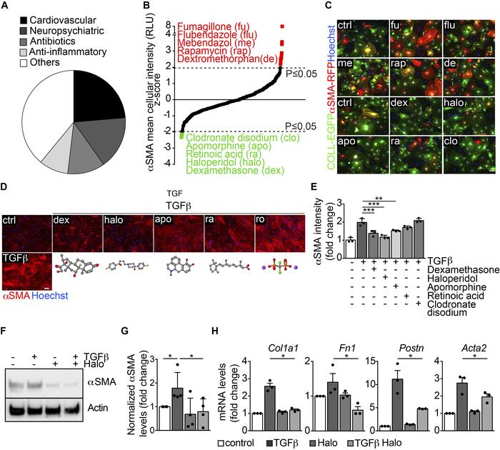 High-throughput screening identifies several modulators of αSMA expressi...