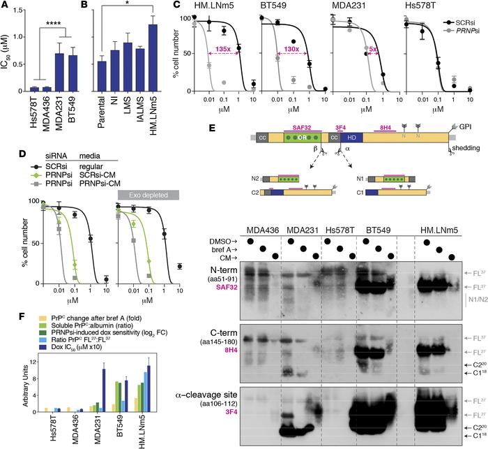 Soluble PrPC can mediate resistance to doxorubicin.
(A and B) Baseline d...