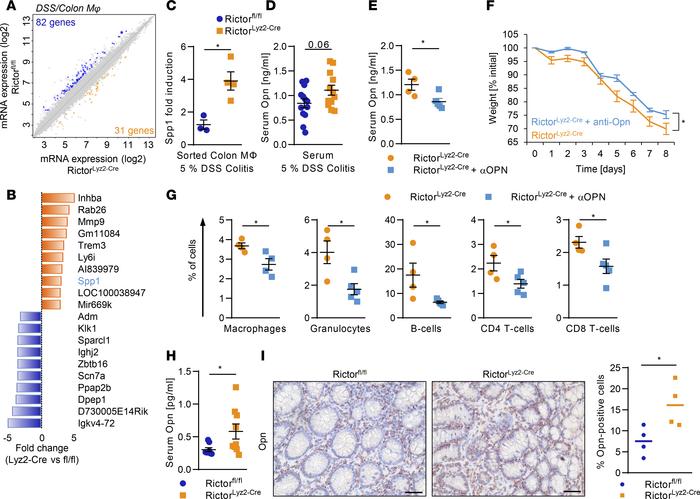 mTORC2 in macrophages suppresses Opn to diminish colitis.
(A) Scatterplo...