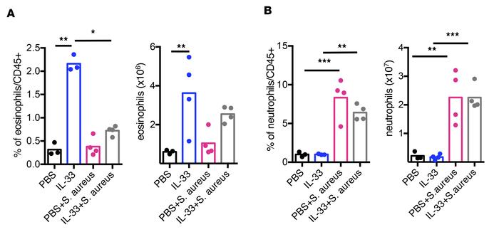 Intratracheal IL-33 pretreatment induces splenic eosinophilia but does n...
