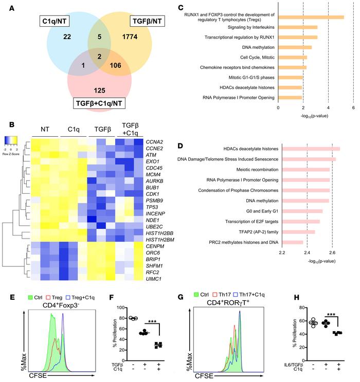 RNA-Seq and pathway analysis of C1q-treated CD4+ T cells.
Human CD4+ T c...