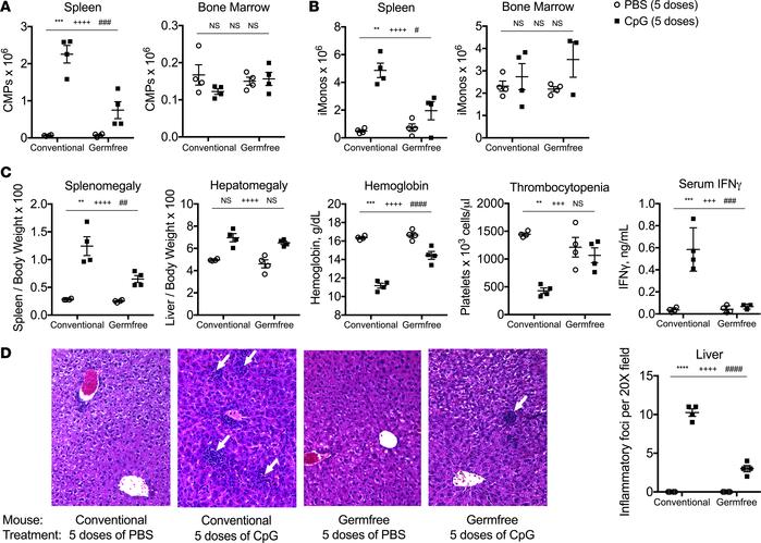 Germ-free mice are protected from TLR9-mediated cytokine storm.
Conventi...