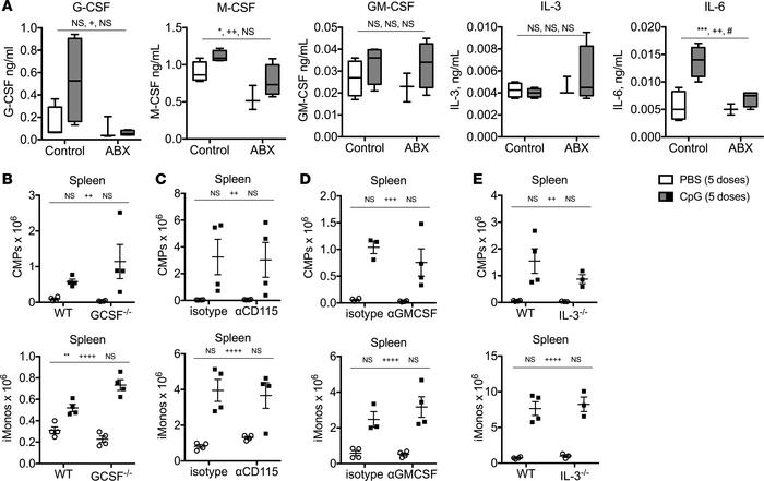 Inhibition of individual myeloid-specifying cytokines does not impair TL...