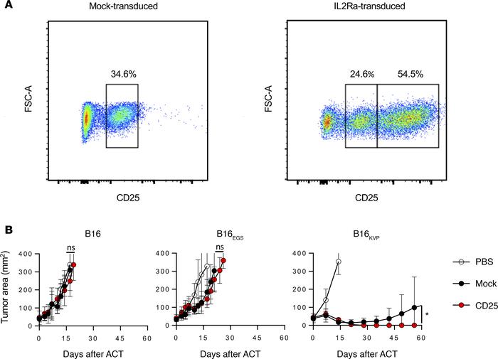 Application of neoantigen model to discover enhanced antitumor functions...
