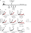 Treatment of modified B16 tumor with adoptively transferred pmel-1 T cells.