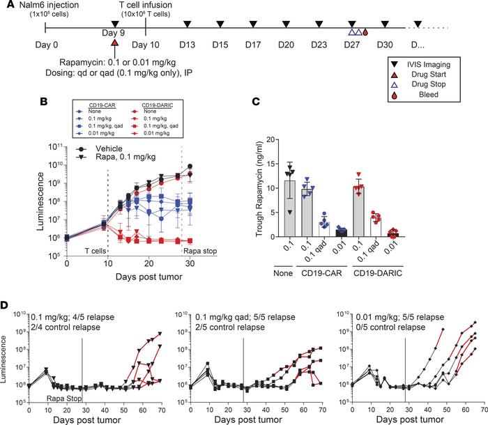 CD19-DARIC T cells control tumor growth in vivo with nonimmunosuppressiv...