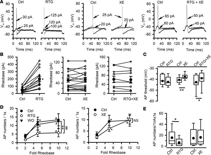 Effects of retigabine and/or XE991 on excitability of mouse nodose neuro...