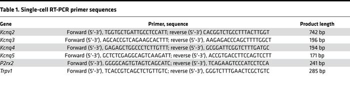 Single-cell RT-PCR primer sequences