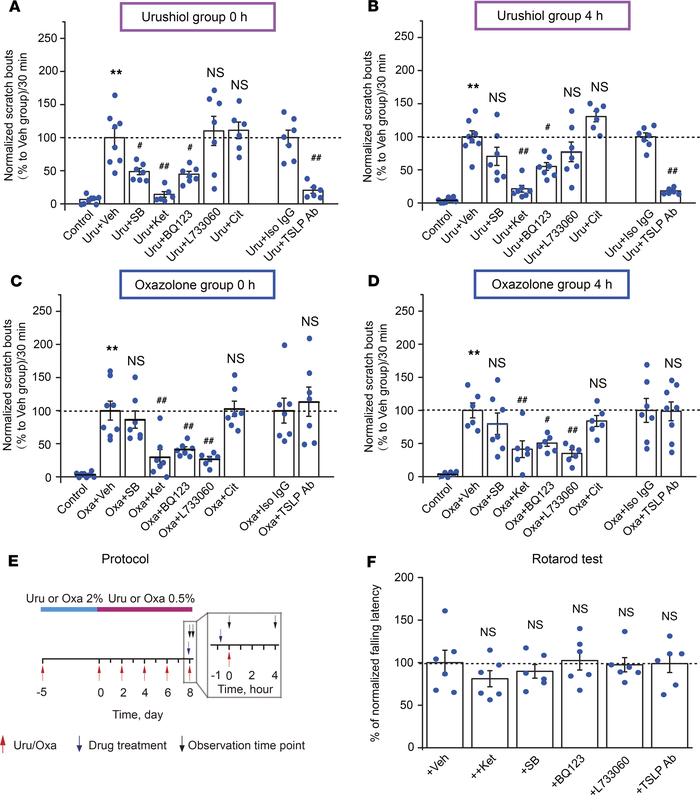 Pharmacological targeting of pruritogenic pathways in urushiol and oxazo...