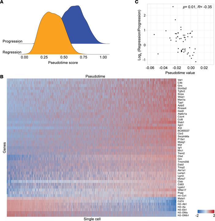 Pseudotime scores and related genes associated with atherosclerosis prog...
