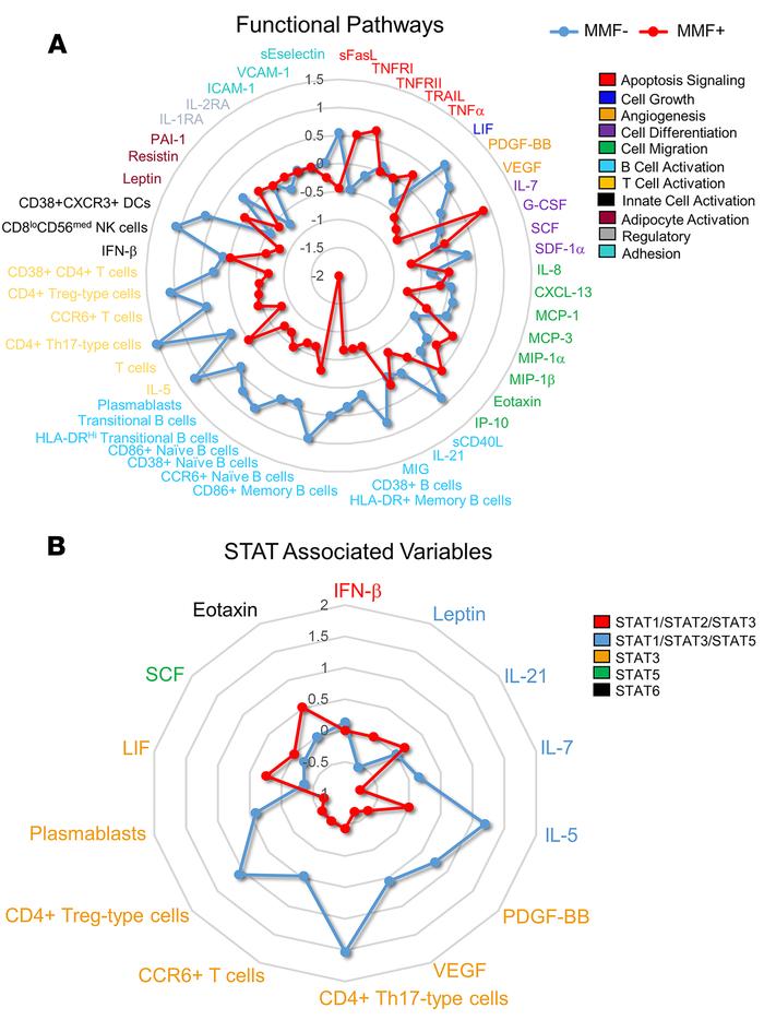 Downregulation of B and T cell activation and STAT3-associated pathways ...