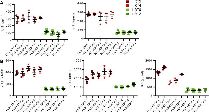 In vitro proinflammatory activity of heat-killed health- and acne-associ...