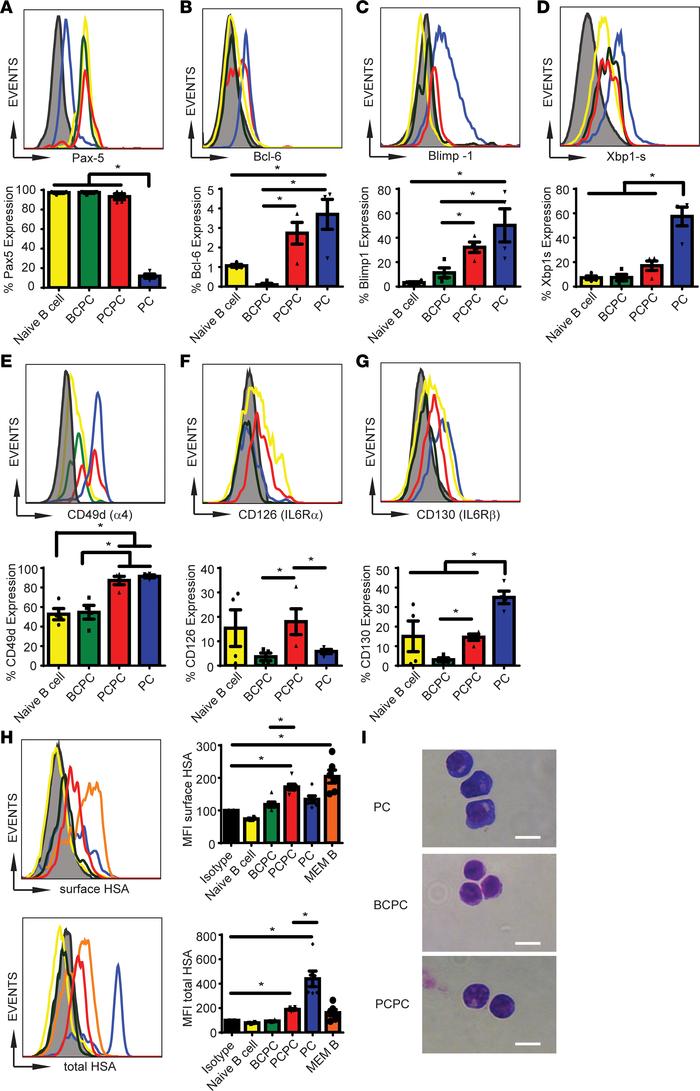 The PCPC population demonstrates a late-B, early PC-like cell phenotype....