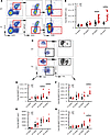 A post–germinal center B cell increases in Tg mice with age.