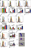 The PCPC population demonstrates a late-B, early PC-like cell phenotype.