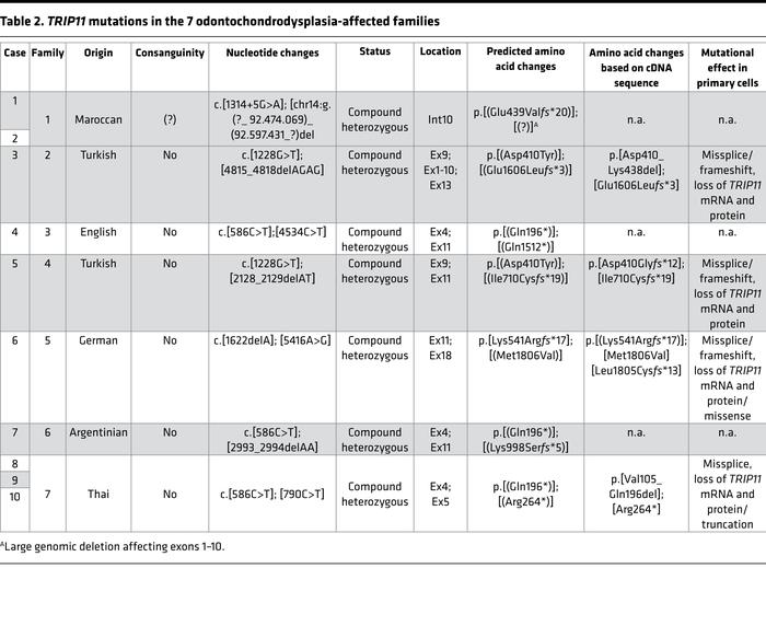 
TRIP11 mutations in the 7 odontochondrodysplasia-affected families