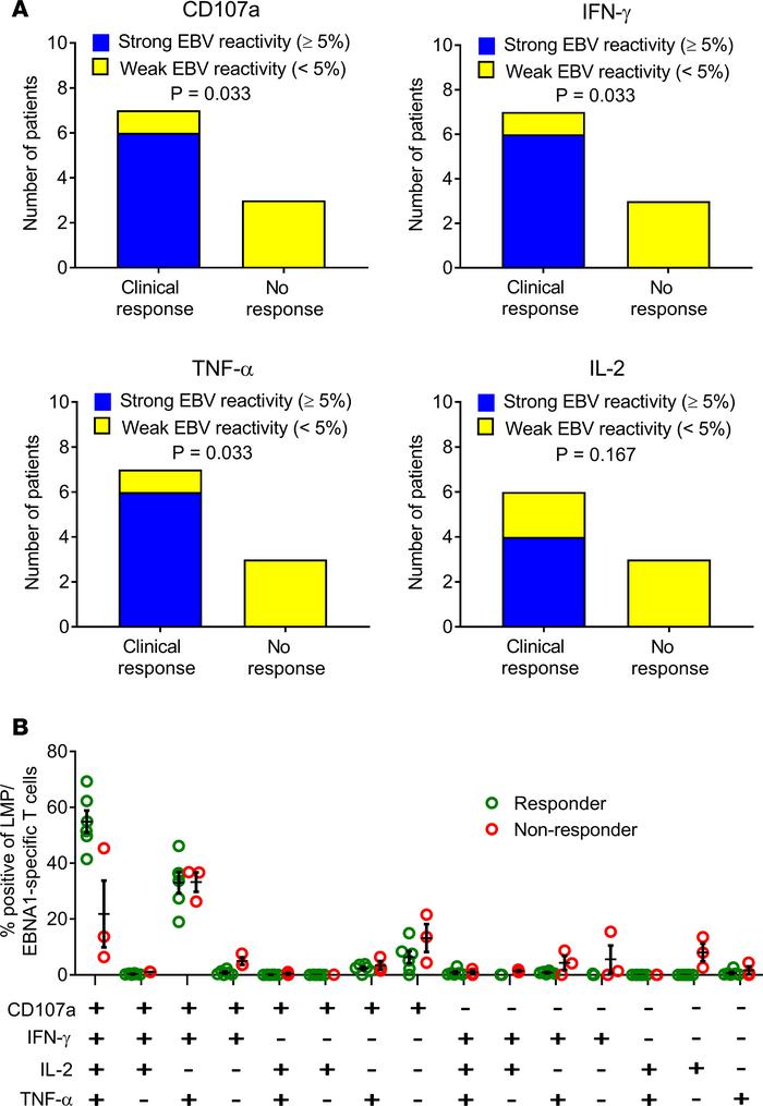 Relationship between EBV-specific CD8+ T cell reactivity of T cell produ...