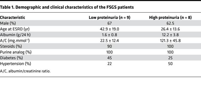 Demographic and clinical characteristics of the FSGS patients