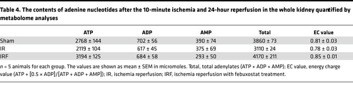 The contents of adenine nucleotides after the 10-minute ischemia and 24-...