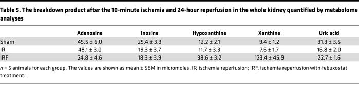 The breakdown product after the 10-minute ischemia and 24-hour reperfusi...