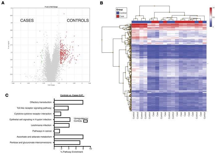Comparison of gene expression in EAT between cases and controls.
(A) Vol...