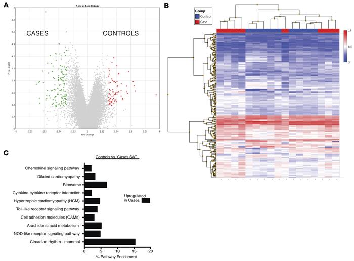Comparison of gene expression in SAT between cases and controls.
(A) Vol...