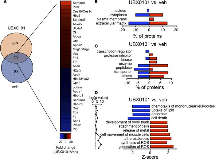 Identification of proteins with altered levels in synovial EVs derived f...