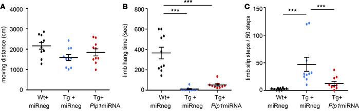 scAAV.CNP.Venus.Plp1miRNA-treated Plp1-Tg mice show improved motor funct...