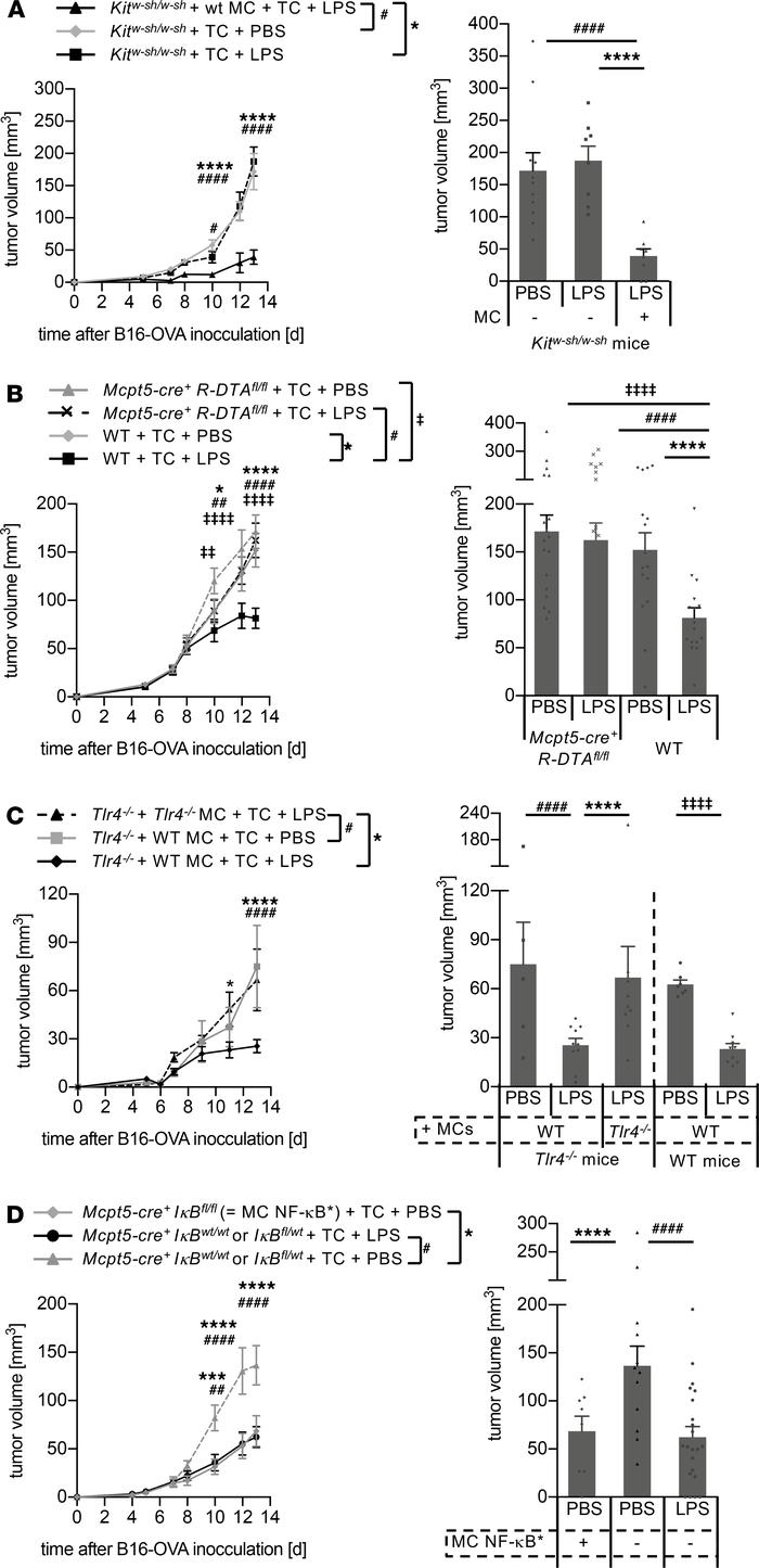 LPS targets melanoma-resident MCs to initiate tumor immune defense.
(A–D...