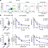 CD44v6+ compared with CD44v6– sphere-derived cancer stem cells have higher