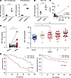 miR-1246 is overexpressed in CD44v6+ CSCs and is a prognostic biomarker for