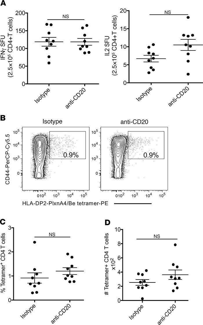 B cell depletion had no effect on the development of a Be-specific CD4+ ...