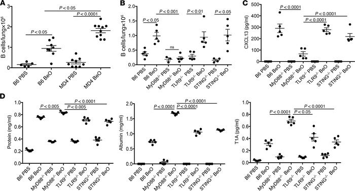 B cell recruitment to the lung after BeO exposure was independent of ant...