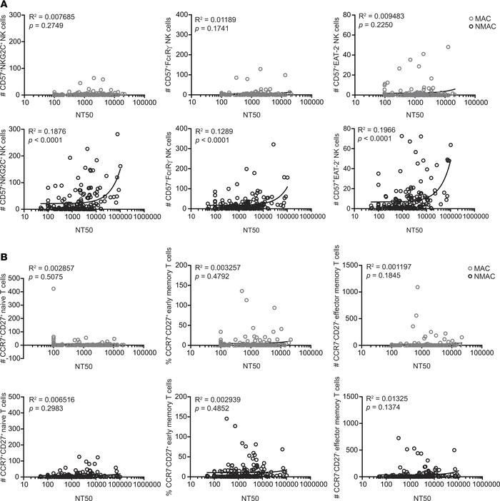 Correlations between adaptive NK cell and CD8+ T cell frequencies and CM...
