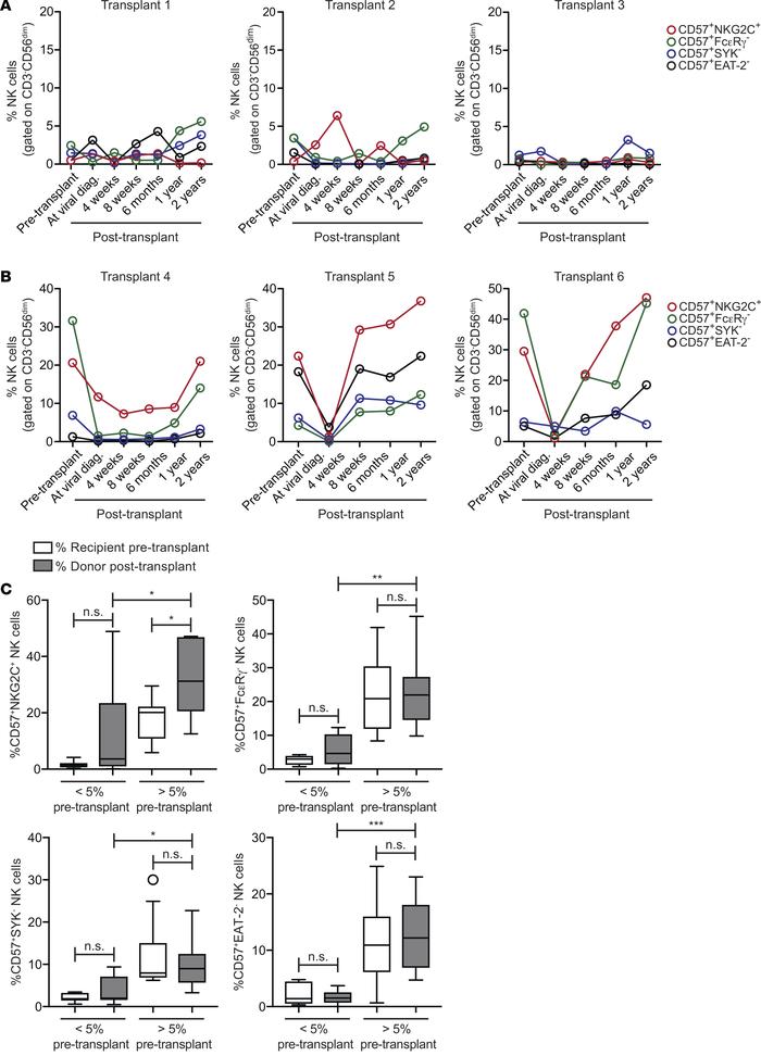 Frequencies of adaptive NK cell subsets within the recipient CD3–CD56dim...