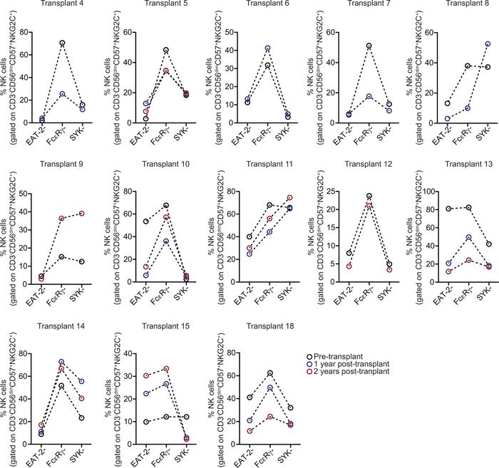 Frequencies of EAT-2–, FcεRγ–, and SYK– cells within the CD3–CD56dimCD57...